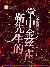 靳先生他最苏了结局