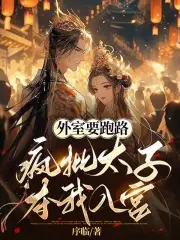 疯批太子夺我入宫下载