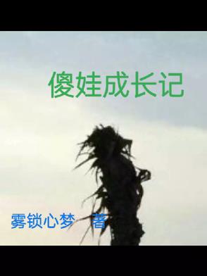 傻娃蜕变记