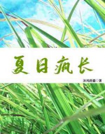 夏日疯长txt下载