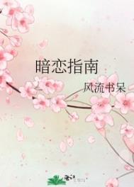 暗恋指南下载