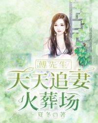 傅先生每天都在追妻免费小说大全