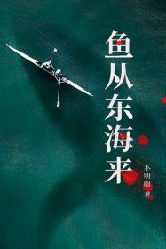 鱼从东海来不明眼txt